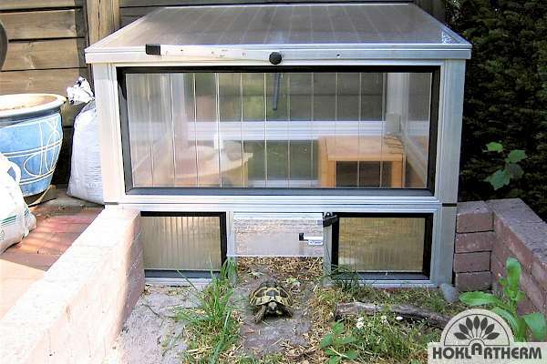 Cold frame with optional base for turtles