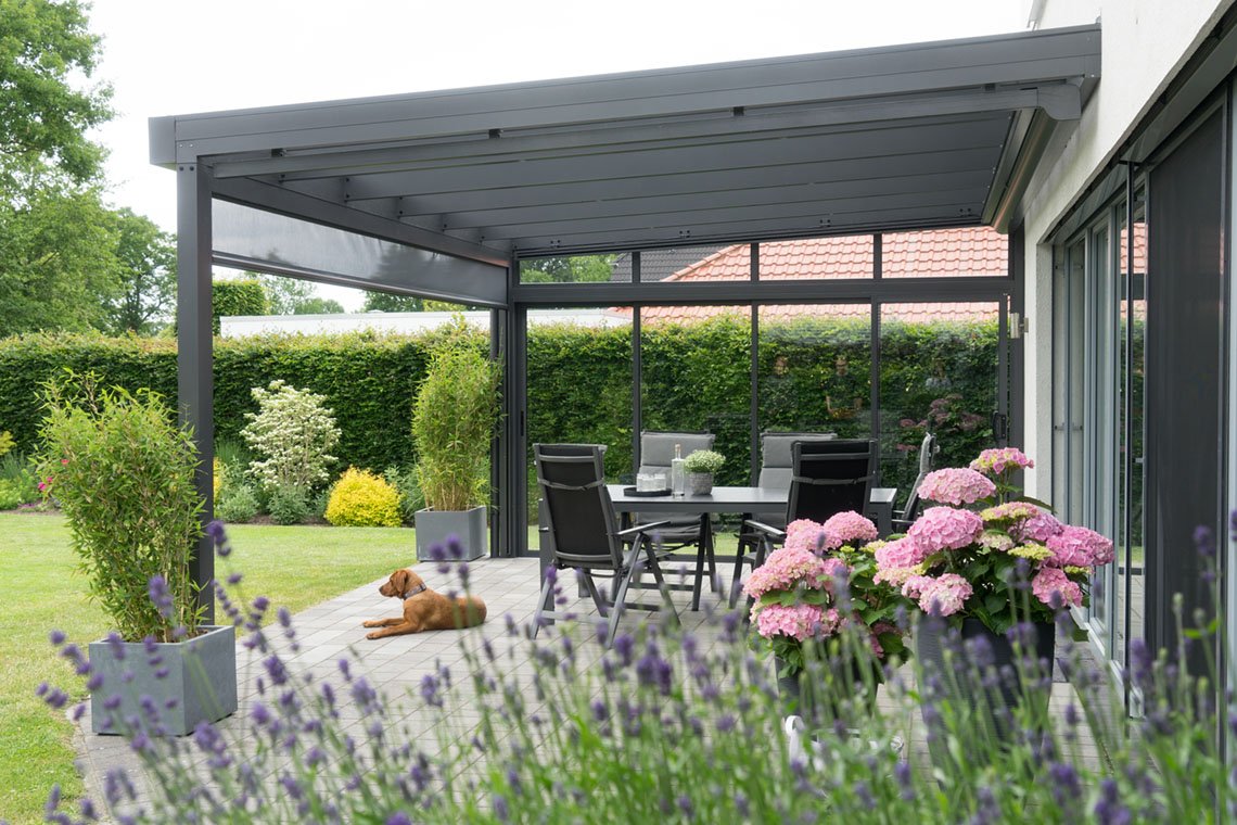 Cosy patio roof Friesland with dog