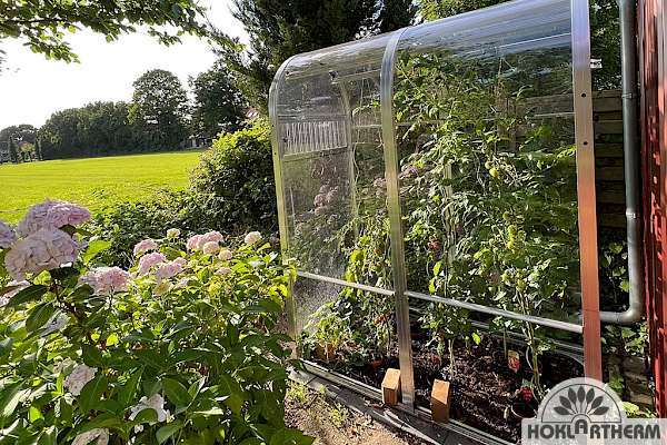 Buy a tomato greenhouse