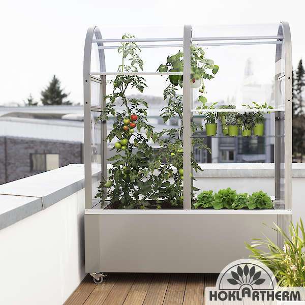 Urban gardening mit dem Balkon-Gewächshaus 