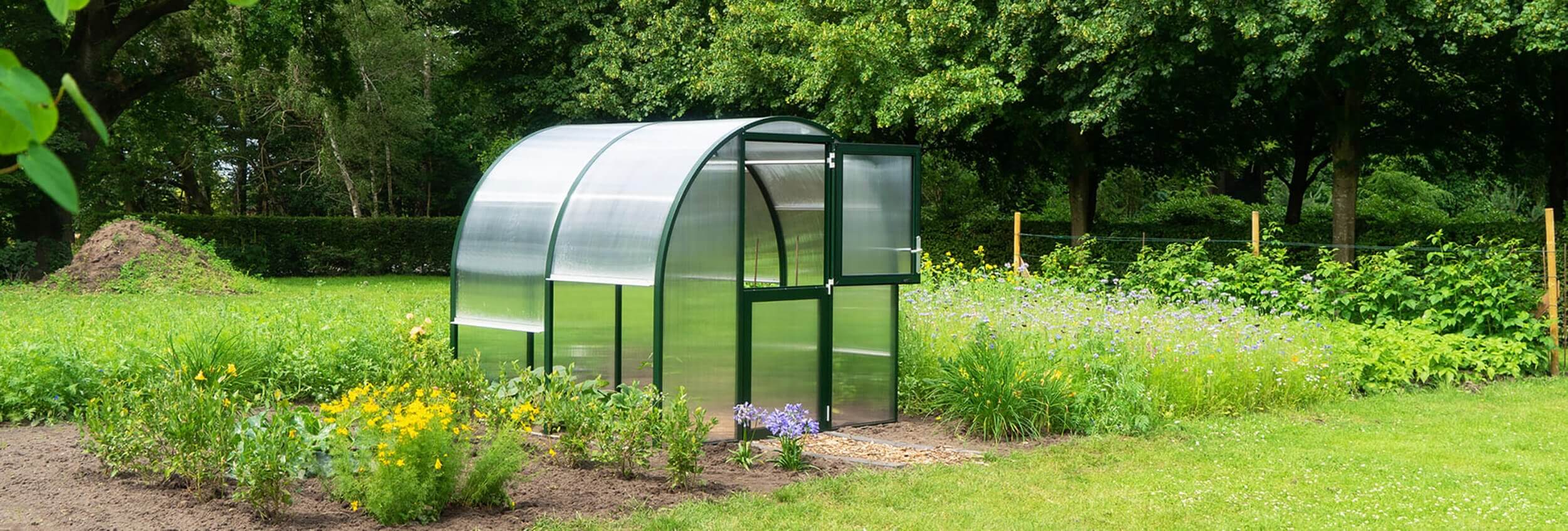 Small Greenhouse in the garden