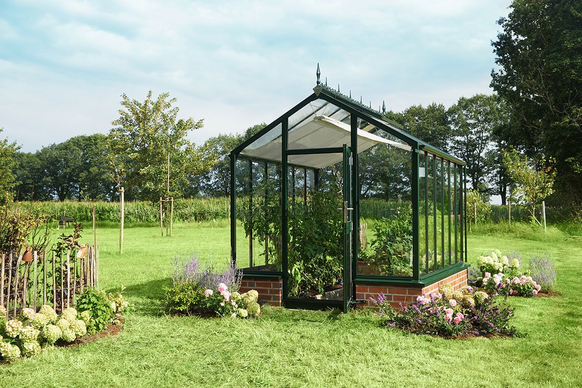 Greenhouse Bio-Top t-line in the garden