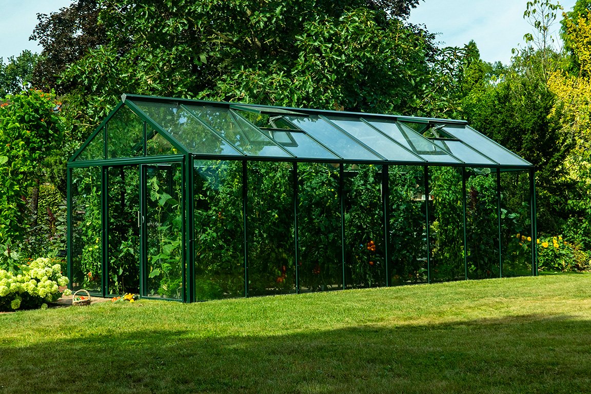 Bio-Varis Greenhouse in the garden