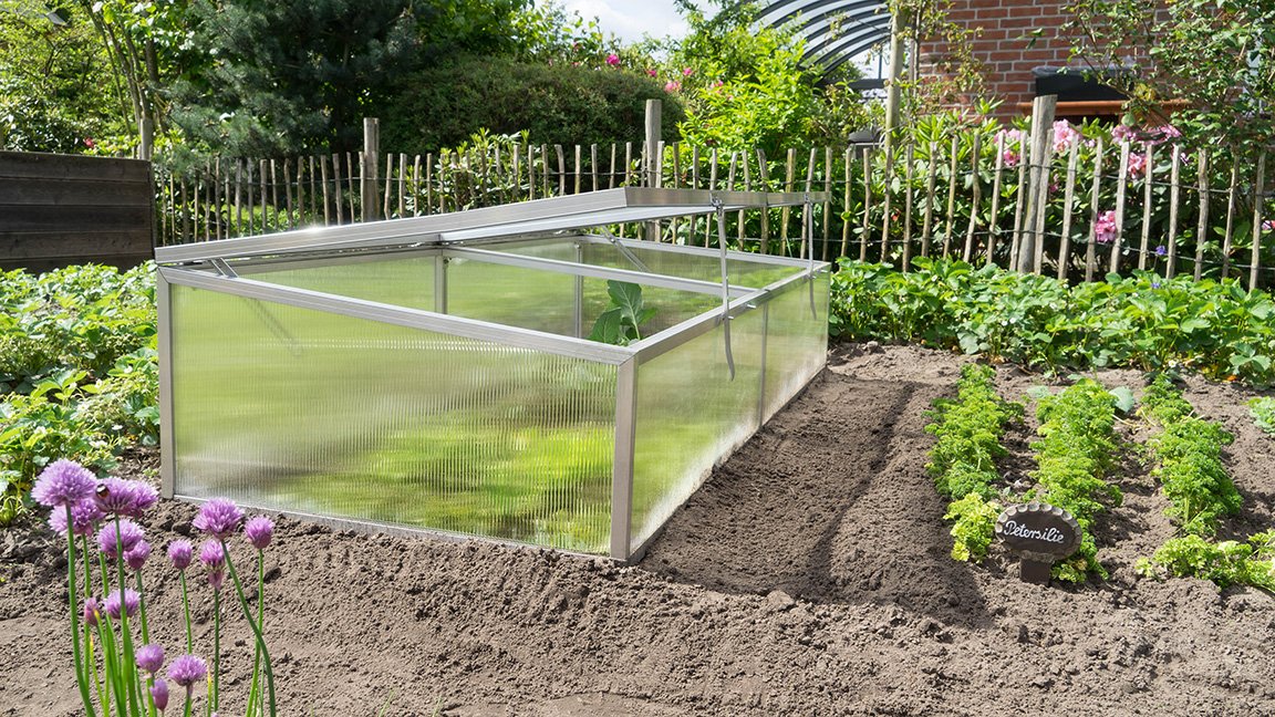 Cold frame cover Flora planted