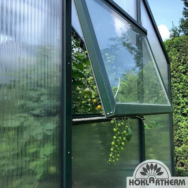 Greenhouse BioTop rear window with twin-wall sheets
