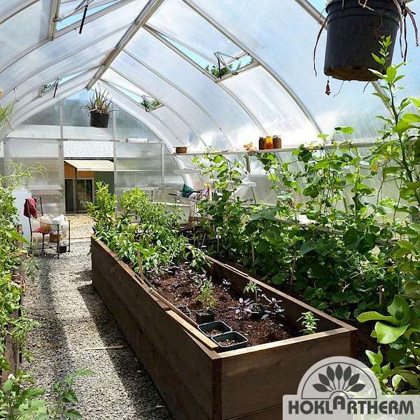 An insight into the interior with propagator in the Riga greenhouse
