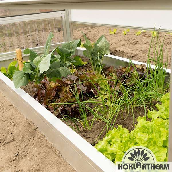 Vegetable patch in cold frame Rudi from Hoklartherm