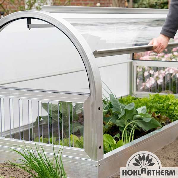 Rudi cold frame with home-grown vegetables