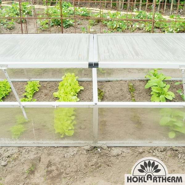 Flora cold frame with lettuce, radishes and co.