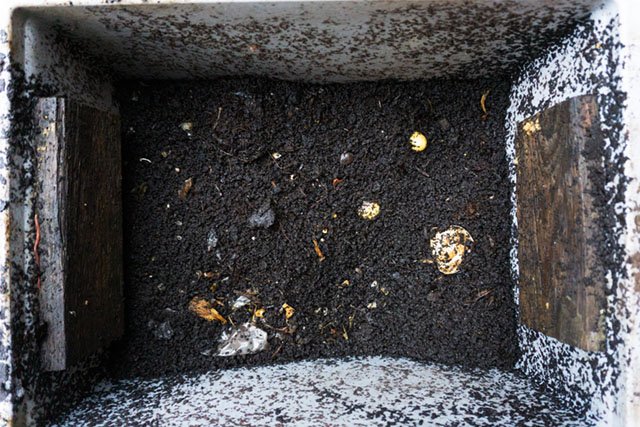 Komposterde liefert Nährstoffe für den Boden
